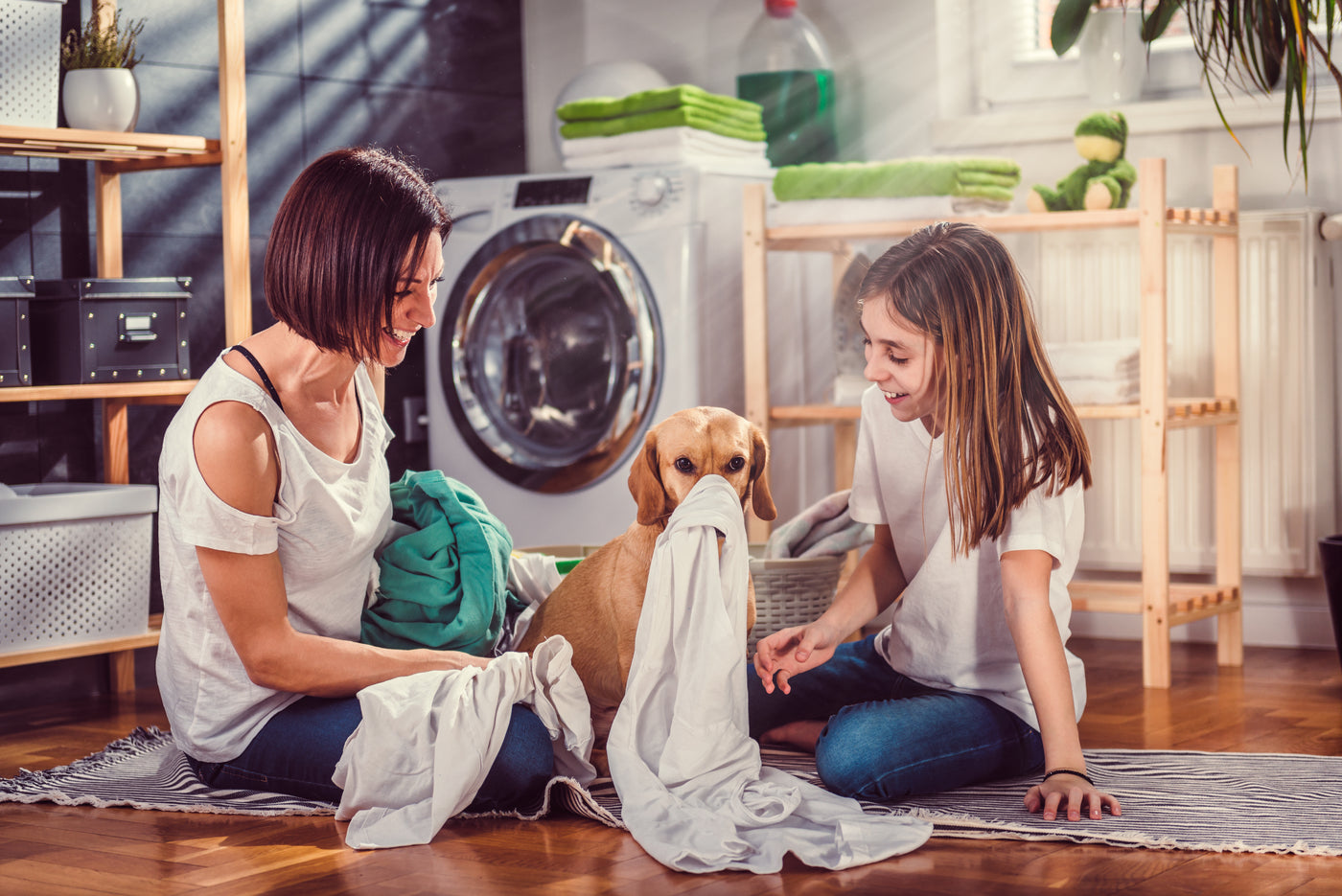 Family fun with the dog children and laundry appliance